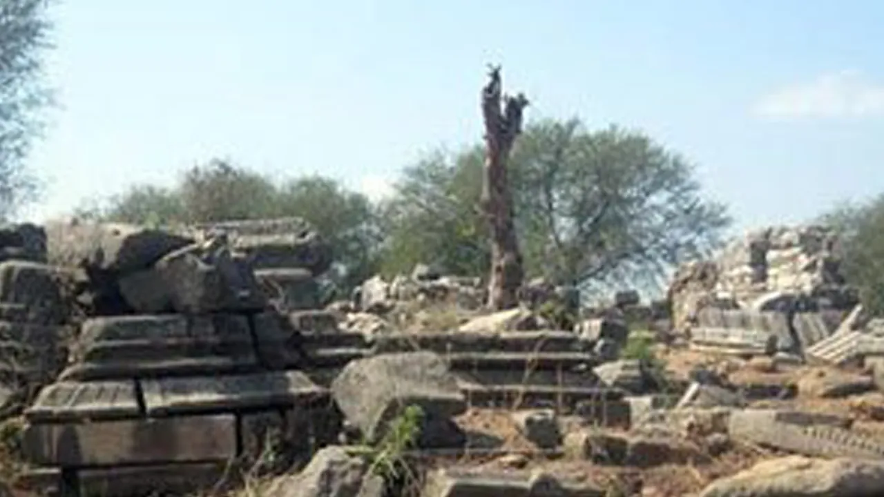The ruins of chandravati.